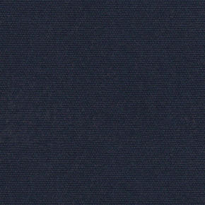 Insignia Blue