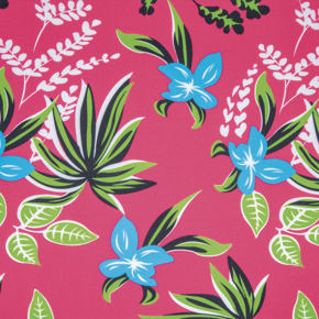 Fuchsia Plumeria