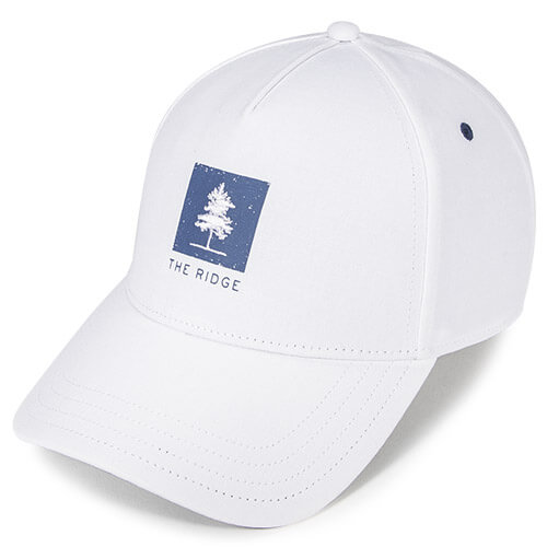 White w/ Dusk Undervisor