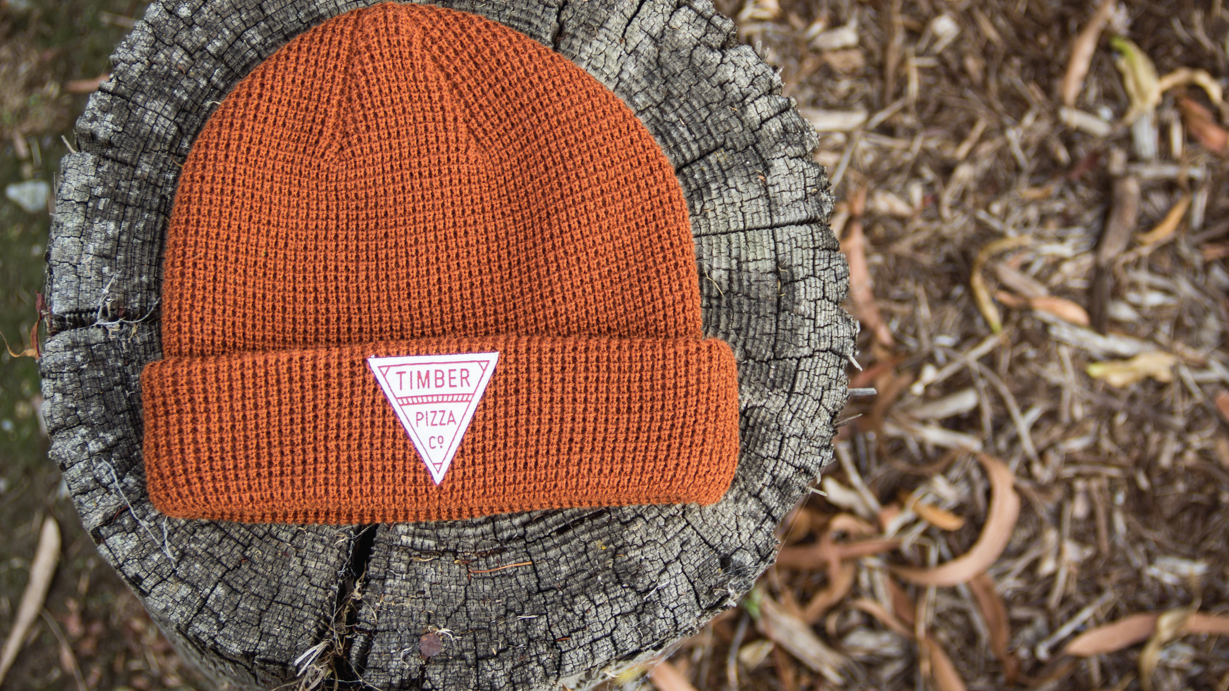 Beanie on wood stump