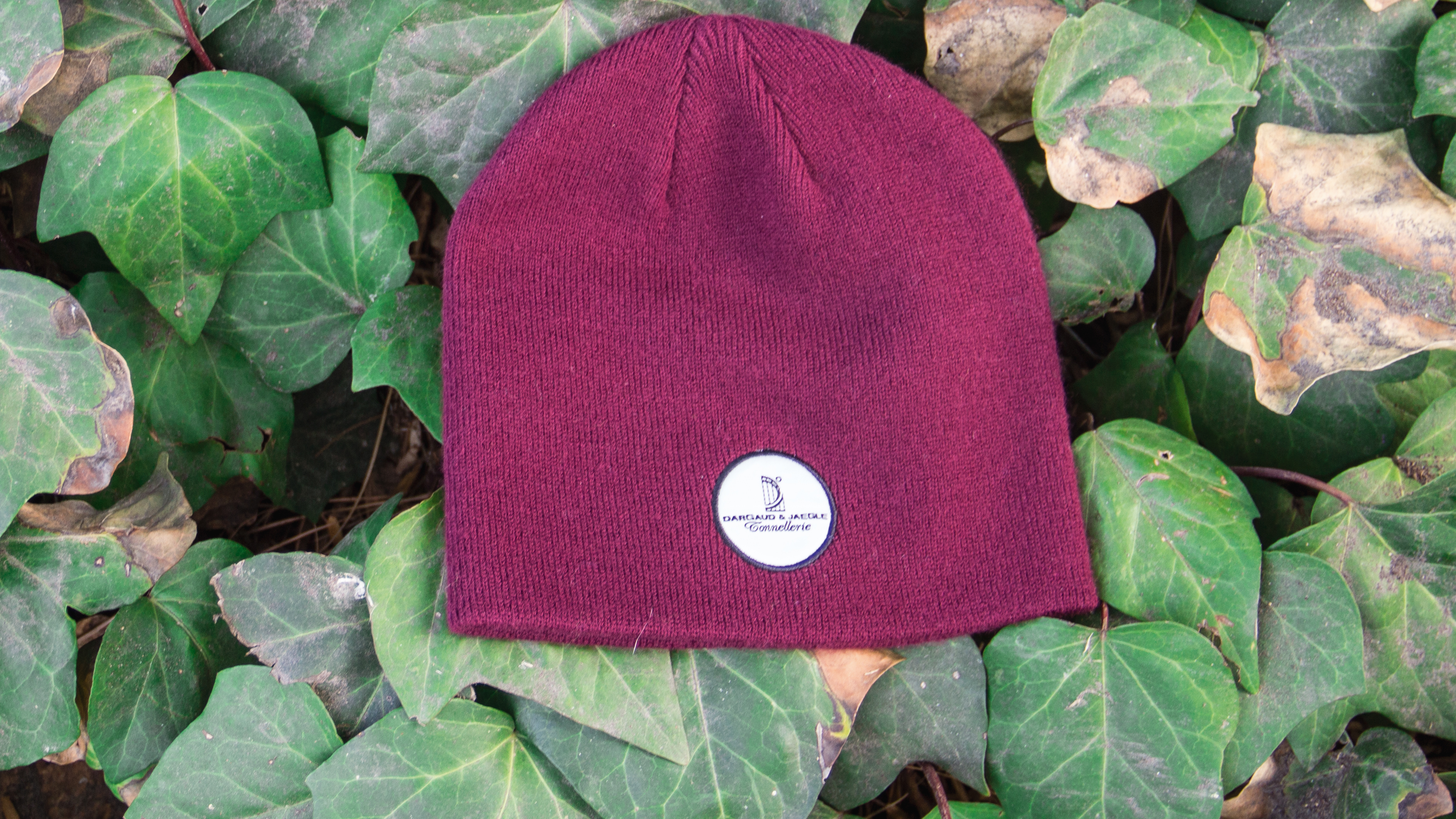 Uncuffed Knit laying on bed of green ivy